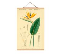 Flowers Poster No 191 eicie SINGLE PIECES - 4052115044901