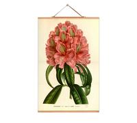 Flowers Poster No 206 eicie SINGLE PIECES - 4052115045052