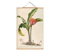 Flowers Posters eicie SINGLE PIECES - 4052115045267