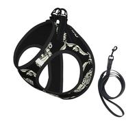 Flowers Skull Ornamental Pattern Print Harness Leash Set For Cat Dog, Reflective Adjustable Escape-Proof Vest Lead With Soft Breathable Mesh, For Small Pets And Kitten Puppy