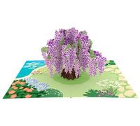 Flowers & Tree’s 3D Pop up Card for Birthday, Graduation, Valentines, Mother’s Day, Anniversary, Thank You, Get Well, All Occasions (Purple Wisteria)