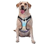 Flowery Paths and boulders Dog Harness for Small, Medium, and Large Dogs – Reflective Straps, Adjustable Fit with Quick-Release Buckles