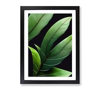 Flowing Leaves Framed Print | A2 Black Framed Wall Art | Ready to Hang | Modern Floral Picture | Living Room Bedroom Lounge Office