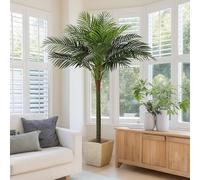 FLOWORLD Artificial Palm Tree 6FT Tall Indoor/Outdoor Decor, Green, All Seasons