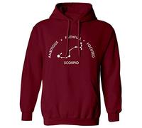 Flox Creative Adults Hoodie Scorpio, Ambitious, faithfull, Focused