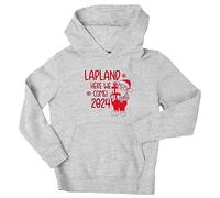 Flox Creative Children's Hoodie Custom Lapland Here We Come Grey 12-13 Years