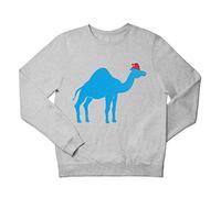 Flox Creative Children's Sweatshirt Blue Camel Santa Grey 3-4 Years