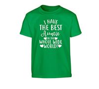 Flox Creative Children's T-Shirt I Have The Best Auntie in The World! Green 7-8 Years
