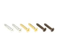 FLOYD ROSE NUT MOUNTING SCREW (TOP) - CHROME