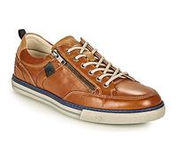 Fluchos Shoes (Trainers) QUEBEC in Brown 5.5