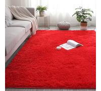 Fluffy 70 x 90 cm Area Rugs Anti Slip Home Decor Bedroom Carpets Carpet Mat Plush Velvet Comfortable for Bedside Children's Bathroom Sofa Floor, Red