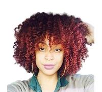 Fluffy Afro Curly Wig Heat Safe Short Curly Wigs With Bangs For Cosplay Christmas Halloween Costume Wigs Black Wine Red