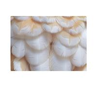 Fluffy Barn Owl Feather Print Chopping Board Warren Reed - Designer White One Size