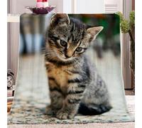 Fluffy Blanket Animal Kitten Throw Blanket Warm and Soft Flannel Throw for Sofa, Bed, travel, 150 x 200cm