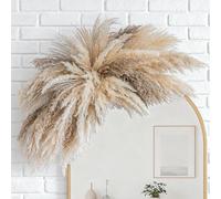 Fluffy Boho Wall Decor - DIY Pampas Grass Kits,Need to Assemble,Decorative Pampas Cloud,Mirror Decorative,for Entryway Bedroom Living Room Bathroom House Warming Gifts New Home Essential