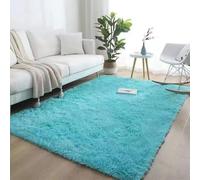 Fluffy Deep-Pile Rug Anti-Slip Bottom - Soft Plush Carpet Mat Bedroom Fluffy Modern Living Room Rug for Room High-Pile Carpet,Sky Blue,80×160cm