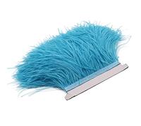 Fluffy Feather Trim, Ostrich Feathers Trim Ribbon 1 Meter 8-10cm Multicolor(Sky Blue)