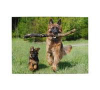 Fluffy German Shepherd Dog And Puppy,500 Pieces Puzzles for Adults-Wooden Jigsaw Puzzle for Adults Elderly