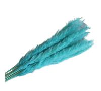 Fluffy Pampas Grass Artificial, Dried Pampas Grass Pack of 15 Multicolor(Sky Blue)