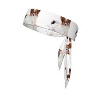 Fluffy Papillon Dog, Head Tie, Sports Headband Tie Back, Multi Sweatband for Men Women