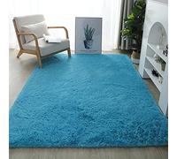 Fluffy Soft Kids Room Rug Large Anti Skid Shag Carpet for Baby Nursery & Children's Bedroom Modern Indoor Home Living Room Floor Decor