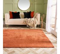 Fluffy Teddy Rug Soft Rugs Bedroom Carpet Area Mat OHS Orange 120cm x 170cm