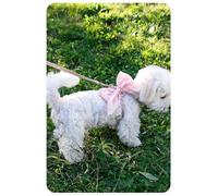FluffyFavPets Cute Pink Princess Dog Harness and Leash Set - Soft Breathable Mesh Vest with Bow Tie for Small Dogs and Cats - No-Pull Adjustable Puppy Walking Jacket - Fits Chihuahua Yorkie Pomeranian