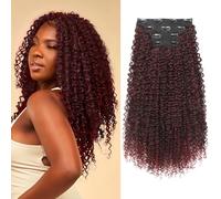 FLUFYMOOZ Clip in Hair Extensions, 20" 4PC 100％ Pure Protein Silk Hair Extensions for Black White Women Long Soft Curly Hair Extension Hairpiece(Wine Red)
