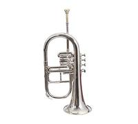 Flugelhorn 4 Value Low Pitch Brass Musical Instrument for Intermediate Student with Cushioned Hard Case