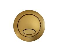 Fluidmaster Dual Flush Push Button for Cable Operated Cistern & PRO550 Brushed Brass