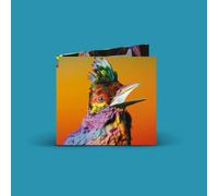 Flume - Palaces