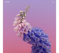 Flume - Skin