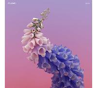 Flume - Skin
