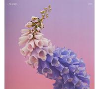 FLUME - Skin (Limited Edition) [VINYL]
