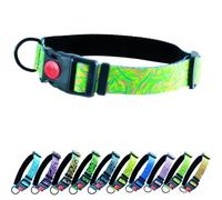 Fluorescent Collar Dog Strap 25 mm Wide Large Dogs Dog Collar Medium Dog Collar Adjustable Dynamic Glow Series (Neck Circumference 42-55 cm, Lime Fusion)