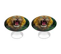 Fluorescent Lion Cabinet Knobs, 2-Pack Silver Stainless Steel Drawer Pulls with Screws, Elegant Hardware for Dressers, Kitchen,Cabinets & Desks