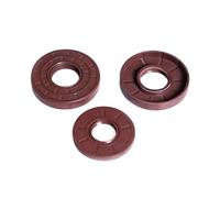 Fluorine Rubber Oil Seal with Iron Skeleton - TC Double Lip Rotary Shaft Seal (ID 22-27MM) 1pcs(25x32x6)