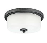 Flush mount Ceiling Light Fitting 2 x E27 Lamp Westinghouse Cedric Aluminium [EEK: A++]