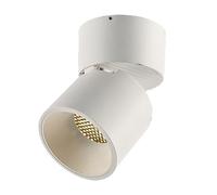 Flush Mount LED Ceiling Spotlight Adjustable Spot Light 90° Rotation Downlight Aluminum Directional Spotlights Wall Swivel Lamps for Living Room Bedroom Shop Gallery