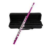 flute 16 Close Holes C Key Flute Silver Plated Flute With E Key Woodwind Instrument Beginner (Color : Pink)