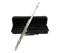 flute 16 Close Holes C Key Flute Silver Plated Flute With E Key Woodwind Instrument Beginner (Color : White)