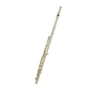flute 16 closed-hole flute instrument professional grading band