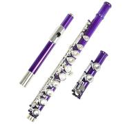 flute 16 Closed Open Holes C Key Professional Transverse Flute Musical Instrument With Box Colorful Stick Gloves (Color : Purple)