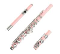 flute 16 Closed Open Holes C Key Professional Transverse Flute Musical Instrument With Box Colorful Stick Gloves (Color : Pink)