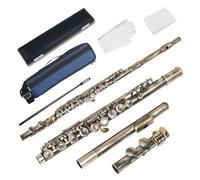flute 16 Hole C Key Flute Instrument With Case Backpack Care Stick Screw Tools Wiping Gloves Flute Accessories Woodwind Instrument Parts (Color : Cyan Antiqu)