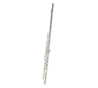 Flute 16 Holes Open And Close Dual-purpose Flute With E Key For Beginners To Play The Grade Examination Woodwind Instrument