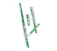 flute 16-key Closed Hole C Flute Beginner Flute Instrument Wipe Kit Glove Holder Through Rod (Color : Green)