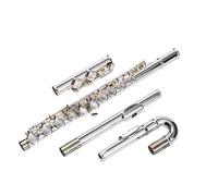 flute 16 Open And Closed Hole Silver-plated C Key E Key Curved Tube Type/double Mouthpiece For Beginners (Color : Silver plated 16 hole opening)