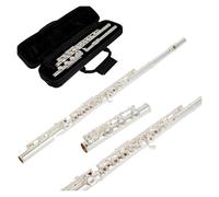 Flute 17 Keys Beginner Flute for Students - Easy to Play Musical Instrument for Kids and Adults, Perfect for Music Lessons and Learning