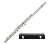 flute Beginner's Flute Professional Playing Nickel-plated Silver-plated White Copper C Key (Color : 101)